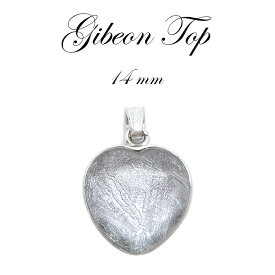 【送料無料】ギベオン ペンダント トップ シルバー ハート型 14mm 宇宙のパワー rare隕石 チャネリング 浄化 カラーストーン
