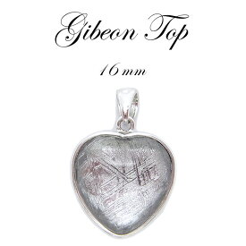【送料無料】ギベオン ペンダント トップ シルバー ハート型 16mm 宇宙のパワー rare隕石 チャネリング 浄化 カラーストーン