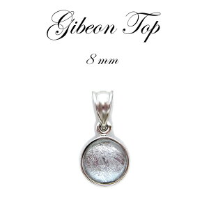 yzMxI y_g gbv Vo[ ۋʌ^ 8mm F̃p[ 覐 `lO  J[Xg[