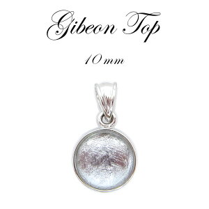 yzMxI y_g gbv Vo[ ۋʌ^ 10mm F̃p[ rare覐 `lO  J[Xg[