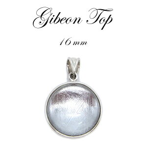 yzMxI y_g gbv Vo[ ۋʌ^ 16mm F̃p[ rare覐 `lO  J[Xg[