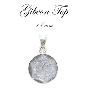 yzMxI y_g gbv Vo[ ۃJbg^ 15mm F̃p[ rare覐 `lO  J[Xg[