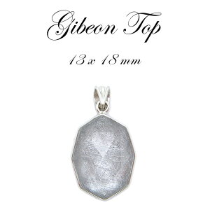 yzMxI y_g gbv Vo[ p`^ 15×20mm F̃p[ 覐 `lO  J[Xg[