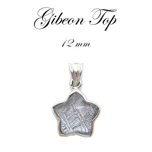 yzMxI y_g gbv Vo[ ^ 12mm F̃p[ rare覐 `lO  J[Xg[