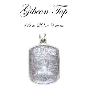 yzMxI y_g gbv Vo[ v[g^ 15×20×9mm F̃p[ rare覐 `lO  J[Xg[