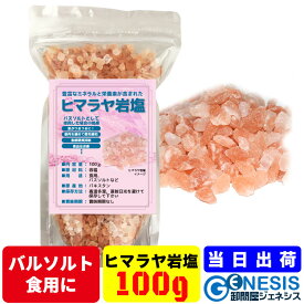 【ヒマラヤ岩塩 100g】GSPOWER 食用 バスソルト クリスタル ピンク 浄化 リラックス