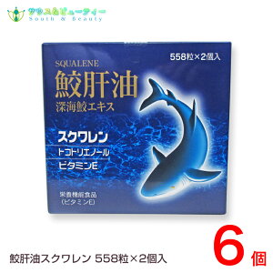 �L�̖� �[�C�L�G�L�X 558�� 12�{�Z�b�g���j�e�b�N���f�B�J���i���߂����j