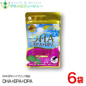 広貫堂 DHA EPA DPA レスベラトロール イチョウ葉エキス トランス脂肪酸ゼロ 内容量40粒×6袋