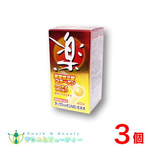 bNWCUC-IIlI 40 i20×3j\tgJvZ UC-II ϐII^ R[Q veIOJ jebNfBJ