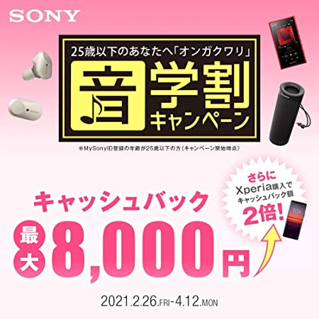 楽天市場】ソニー ウォークマン Aシリーズ 16GB NW-A55 : MP3