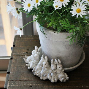 NEW Aؔ Rvp^[ Pot&Saucer L |bg\[TyX[sOrbgBz @K[fjO K[f G  l킢G