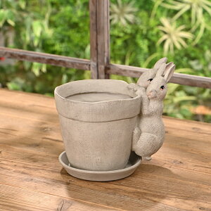 NEW Aؔ Rvp^[ Pot&Saucer L |bg\[Ty2ĈԂ牺胉rbgz @K[fjO K[f G  l킢G