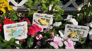 yK[fXeBbNBzK[fjO@sbN3{g@ sbN XeBbN @o[h