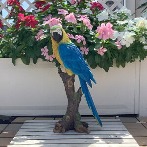 K[fjOG݁yRSECRijzu  K[fjO K[f G I[ig  u MtgΉ y  l킢G