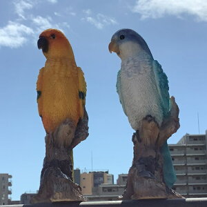 K[fjOG݁yCR(j2̃Zbgu  K[fjO K[f G I[ig  u MtgΉ y  l킢G