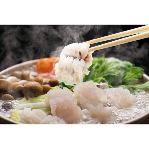 y  z Yn 啪 ͂ ( ͂  ͂ X Yn Mtg  蕨  )