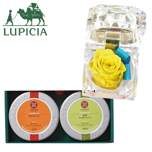 y}\ԃ|Cg5{zsVA ̃oGeBZbgA  vU[uht[ Zbg LUPICIA t g { eB[pbN lC t[o[heB[  ̂ {  