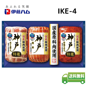 yΕzɓn _ Mtg _ˎsF Yؓgp YnMtg IKE-4 y[J[ t1219܂ 1117`1228܂Łz ΕȊOɂp\(ȈՕ