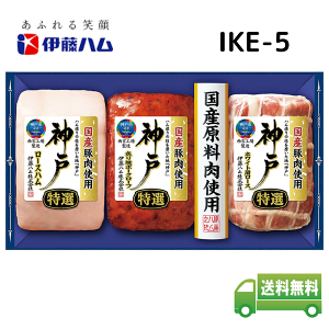 yΕzɓn _ nMtg Yؓgp _ˎsFYnMtg IKE-5 y[J[ t1219܂ 1117`1228܂Łz ΕȊOɂp\(Ȉ