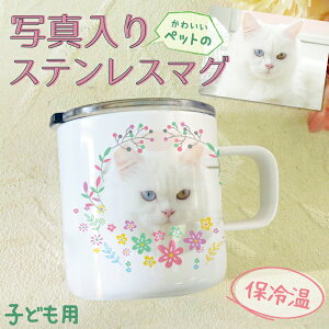 }OJbv XeX IWi vg ʐ^ IWiObY ʐ^vg ybg̎ʐ^ Ԃ̎ʐ^ v[g Mtg  c a LOi җj j j I