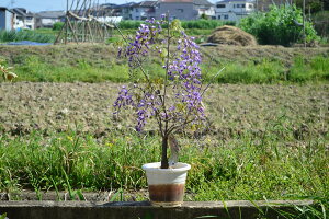 11{12̔ƂȂ܂BĂy݂v[g av[gɁycz 2026N4J Yɂꂽ@I쐬