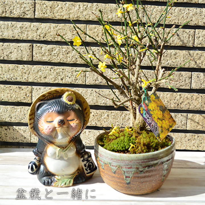 楽天市場】狸置物【信楽タヌキ】つがいのタヌキでいつまでも仲良く