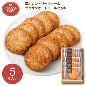 [Jg[t@[ TNTNI[g~[NbL[A FOC-5 Mtg yY  XC[c َq  j j Ԃ Ε