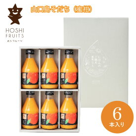 ホシフルーツ にほんのご馳走果実ジュース 山口島そだち（蜜柑） 6本 HFNH-6S スイーツギフト 内祝い ギフト 出産祝い お返し 結婚祝い 快気祝い 退職祝い 香典返し 引越し 挨拶