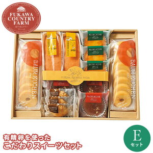 [Jg[t@[ LgXC[cZbg E FFC-05A Mtg yY  XC[c َq  j j Ԃ Ε