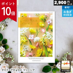 y|Cg10{zJ^OMtg eCNA`CX 2900~R[X t[WA Mtg  j j Ԃ oYj j o v[g  hV̓
