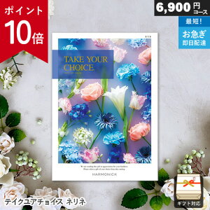 y|Cg10{zJ^OMtg eCNA`CX 6900~R[X ll Mtg  j j Ԃ oYj j o v[g Ε