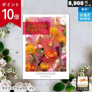 �y�|�C���g10�{�z�J�^���O�M�t�g �e�C�N���A�`���C�X 8900�~�R�[�X �|�s�[ �M�t�g ���� ���j�� ���j�� ���Ԃ� �o�Y���j�� �������j�� �����o�� �v���[���g ���Ε�