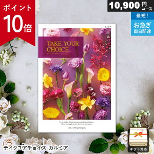 �y�|�C���g10�{�z�J�^���O�M�t�g �e�C�N���A�`���C�X 10900�~�R�[�X �J���~�A �M�t�g ���� ���j�� ���j�� ���Ԃ� �o�Y���j�� �������j�� �����o�� �v���[���g ���Ε�