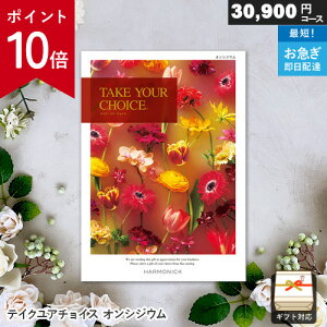 y|Cg10{zJ^OMtg eCNA`CX 30900~R[X IVWE Mtg  j j Ԃ oYj j o v[g Ε