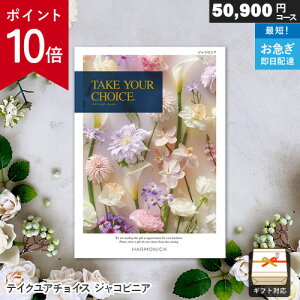 y|Cg10{zJ^OMtg eCNA`CX 50900~R[X WRrjA Mtg  j j Ԃ oYj j o v[g  hV̓