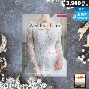 J^OMtg EFfBOeBA jp 3900~R[X L[sbg Mtg j j Ԃ j o v[g