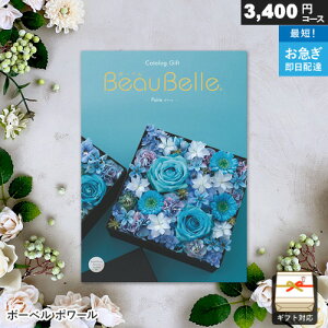 J^OMtg {[x 3400~R[X |[ Mtg  j j Ԃ oYj j o v[g Ε