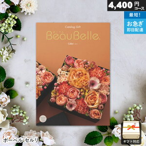 J^OMtg {[x 4400~R[X Z Mtg  j j Ԃ oYj j o v[g Ε