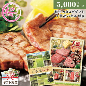 iiplt 񎟉 ii ׂ邲na  ii  񎟉 ii ژ^ Zbg rS Ry 2AYN ii StRy I VN iiplZbg