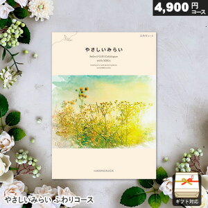 J^OMtg ₳݂炢 4900~R[X ӂR[X Mtg  j j Ԃ oYj j o v[g Ε