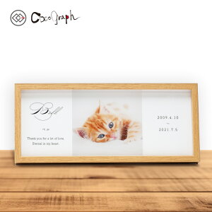 AtHgt[062iRROtIWijiI[_[Ch ybg ObY  v[g  L   O a j LO A  q qL 