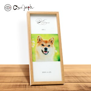 AtHgt[062iRROtIWijiI[_[Ch ybg ObY  v[g  L   O a j LO A  q qL 