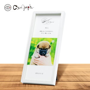 AtHgt[062iRROtIWijiI[_[Ch ybg ObY  v[g  L   O a j LO A  q qL 