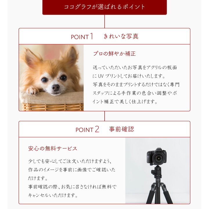 楽天市場 メモリアルフォトフレーム062 ココグラフオリジナル オーダーメイド ペット グッズ おしゃれ プレゼント 犬 猫 わんこ 名入れ 名前入り 誕生日 お祝い 記念 メモリアル 長寿 子犬 子猫 パピー 小型犬 大型犬 インテリア かわいい カッコイイ 写真入り