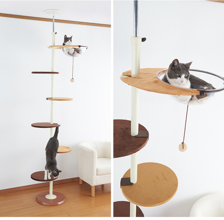楽天市場】キャットタワー Bonbi ボンビアルコン ボンビ キャット 