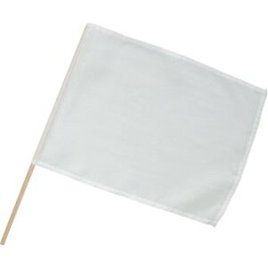 ySALE |Cg5{z () ͂ tbO ^ ̈ Ղ Cxg  lC g₷ ֗ ] r[