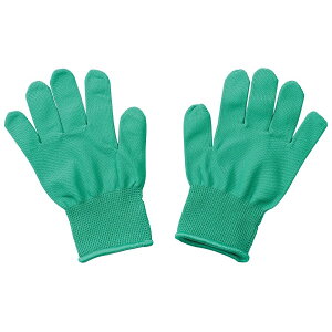 J[Cg  ^ \ ߑ _X  lC g₷ ֗ ] r[