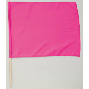 ySALE |Cg5{z (usN) ͂ tbO ^ ̈ Ղ Cxg  lC g₷ ֗ ] r[