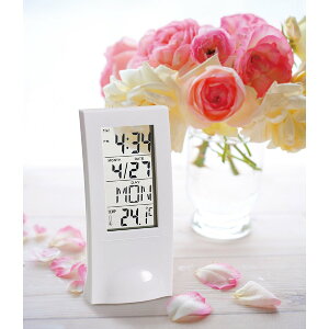 【100円offクーポン】シースルークロック おすすめ 人気 使いやすい 便利 高評価 レビュー多数