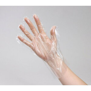 ySALE |Cg5{zlprj[100^  lC g₷ ֗ ] r[